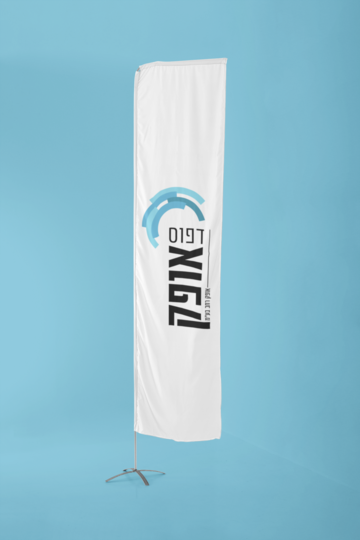 דגל סיני